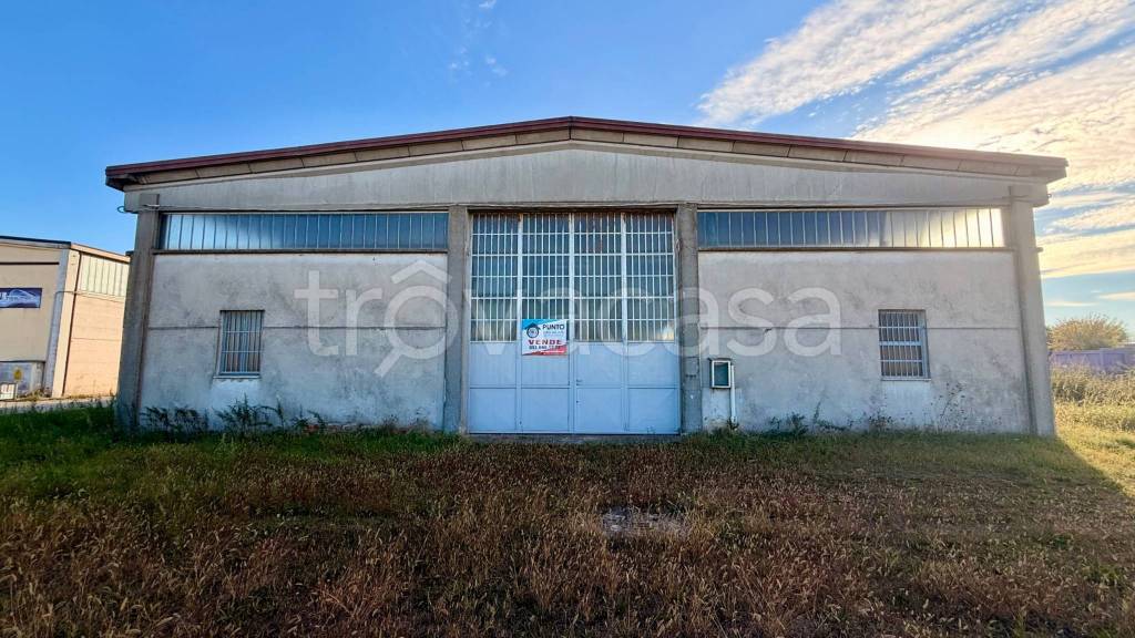 immagine annuncio 10 di 15