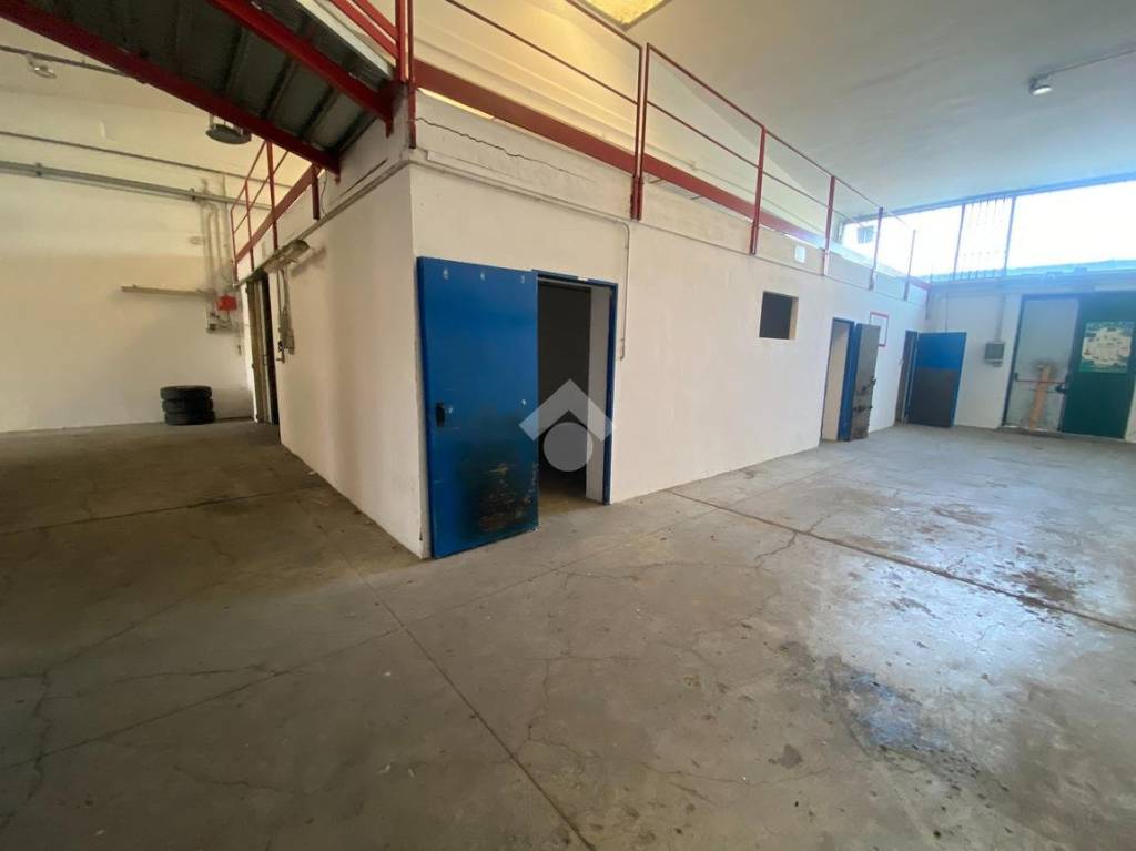 immagine annuncio 2 di 15