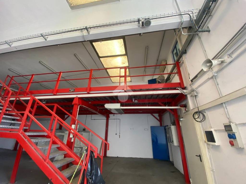 immagine annuncio 10 di 15