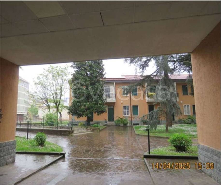 immagine annuncio 5 di 15