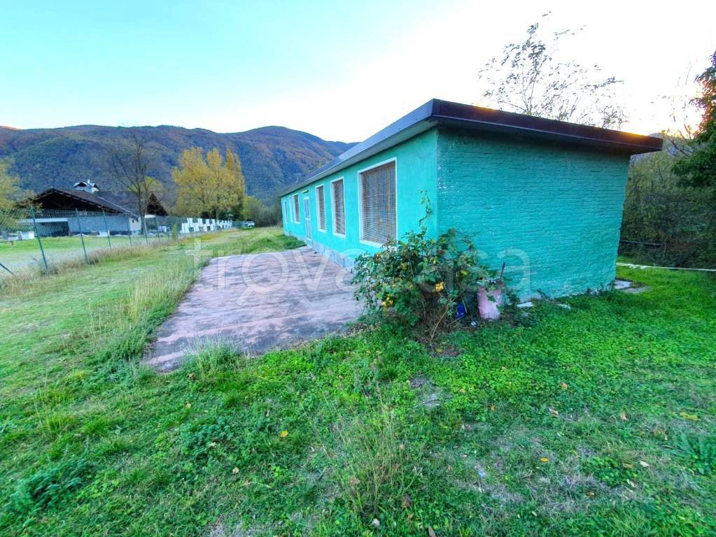 immagine annuncio 1 di 9