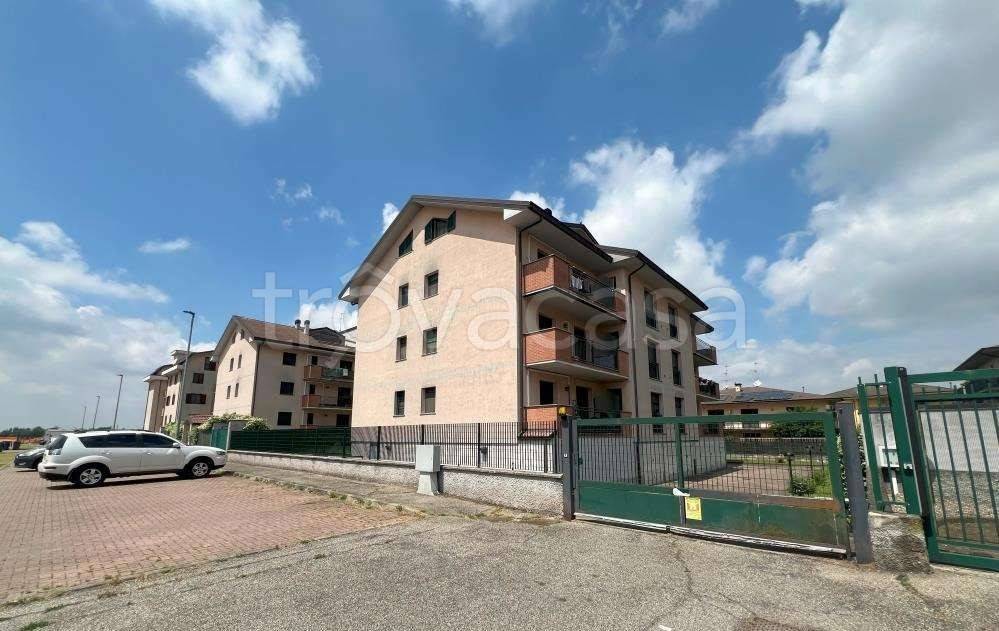 immagine annuncio 7 di 15