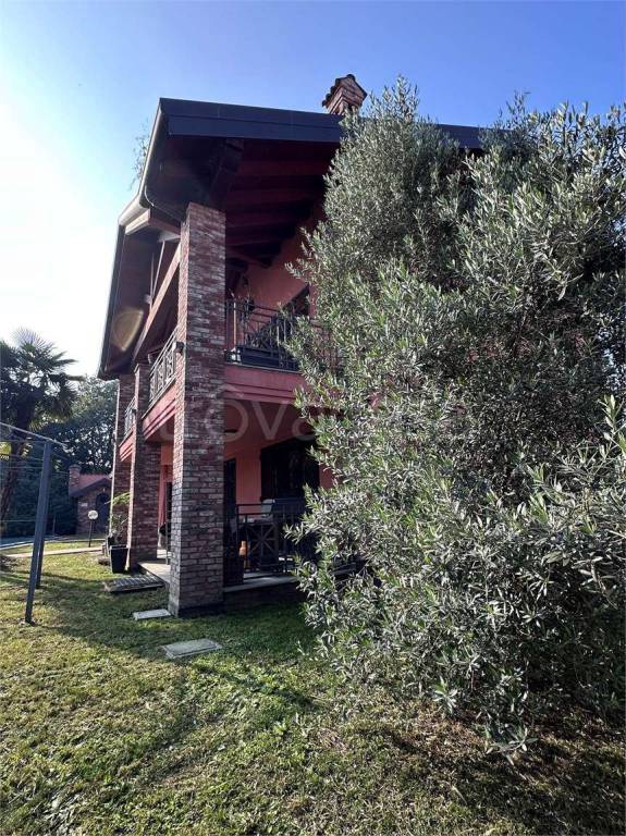 immagine annuncio 10 di 15