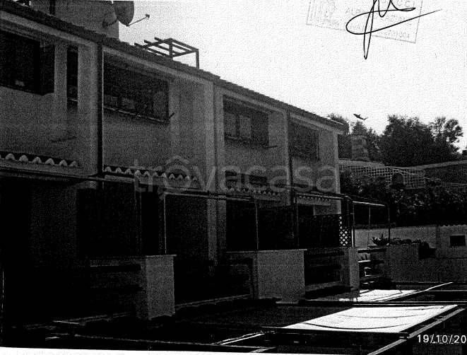 immagine annuncio 9 di 14