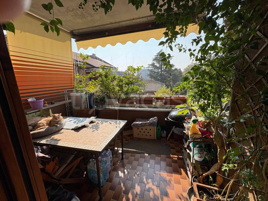 immagine annuncio 9 di 15