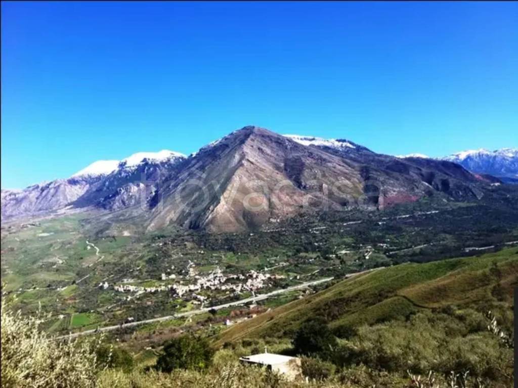 immagine annuncio 4 di 6