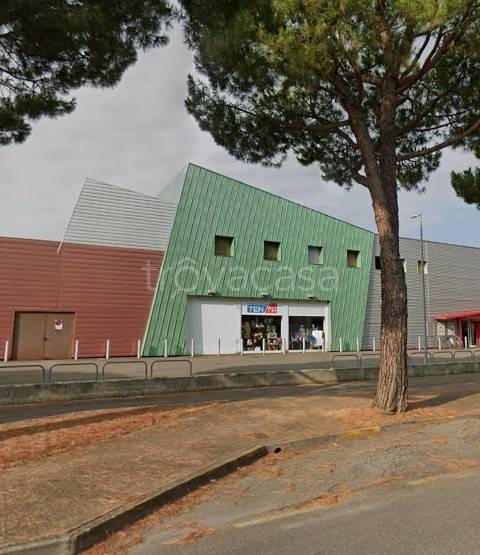 immagine annuncio 2 di 8