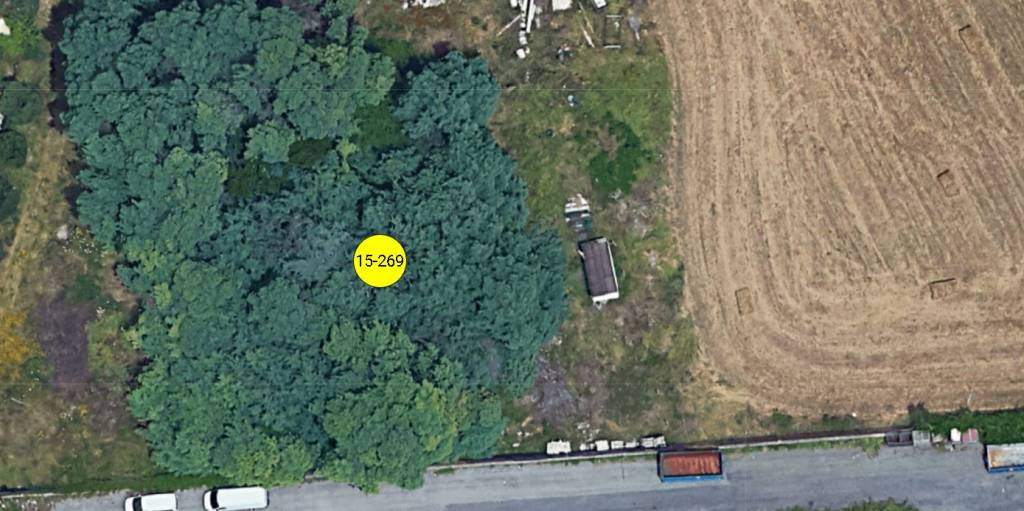 immagine annuncio 10 di 15