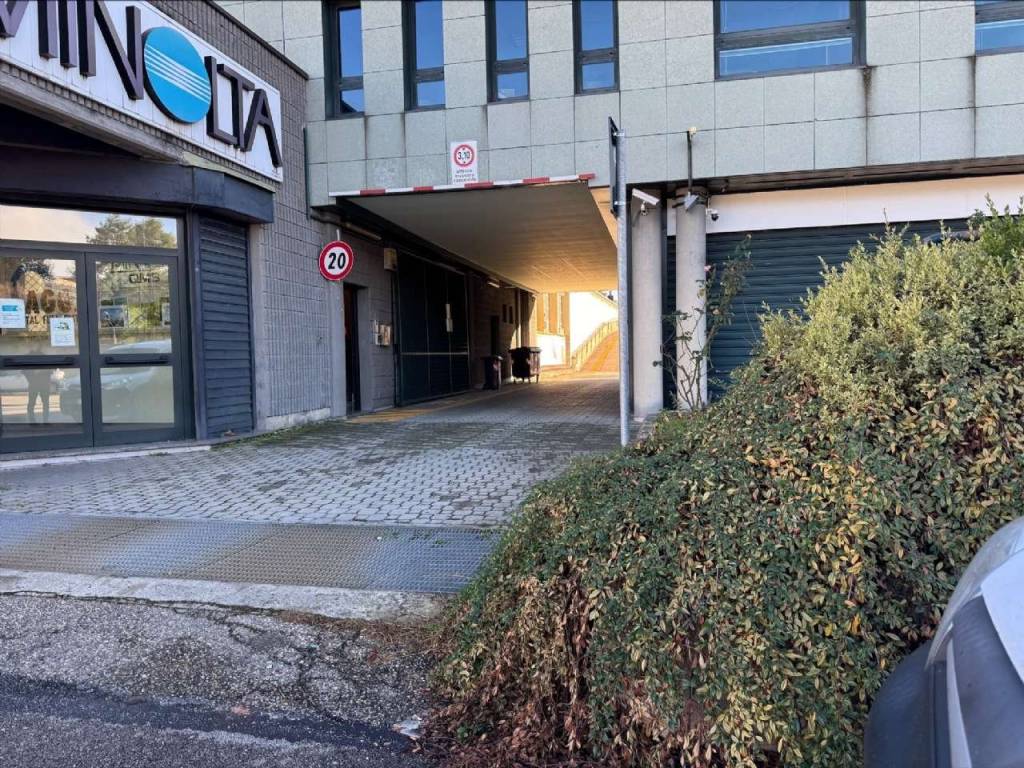 immagine annuncio 9 di 11