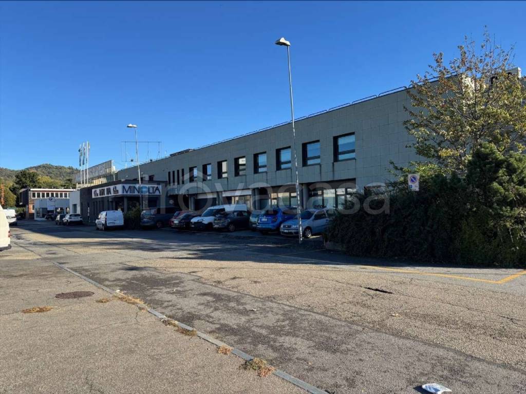 immagine annuncio 10 di 11