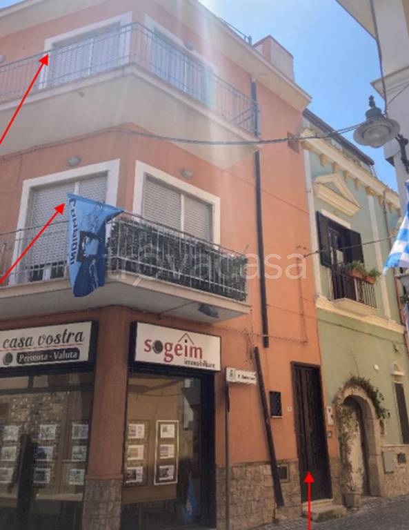 immagine annuncio 3 di 14