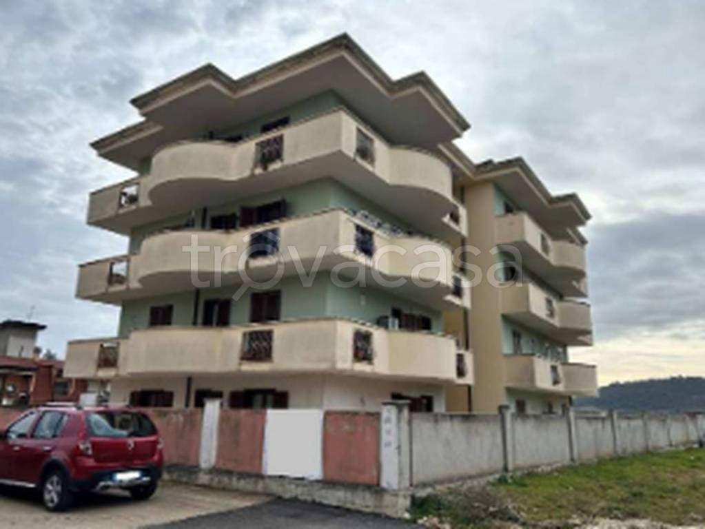 immagine annuncio 10 di 11