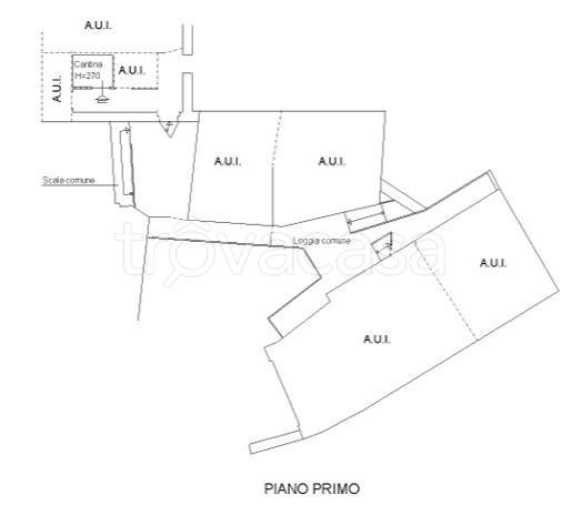 immagine annuncio 10 di 14