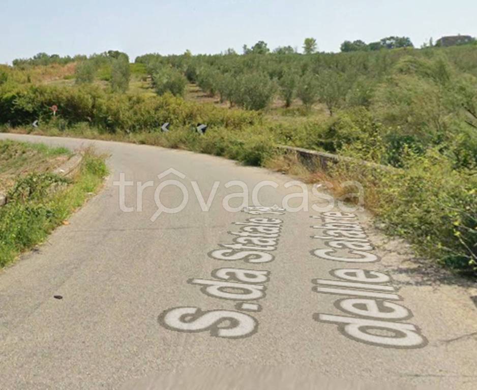 immagine annuncio 7 di 11