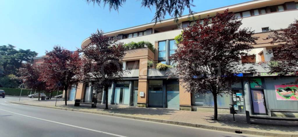 immagine annuncio 1 di 3