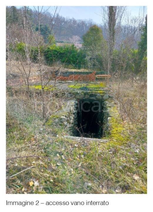 immagine annuncio 5 di 9