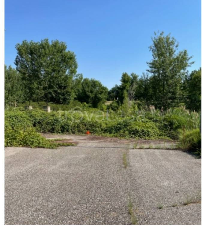 immagine annuncio 3 di 14