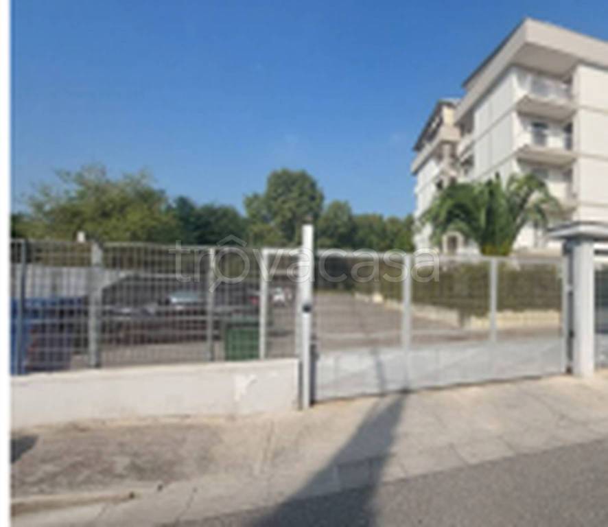 immagine annuncio 9 di 11