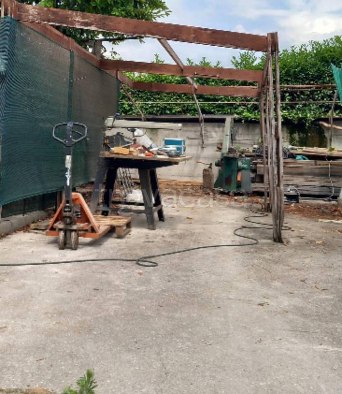 immagine annuncio 6 di 11