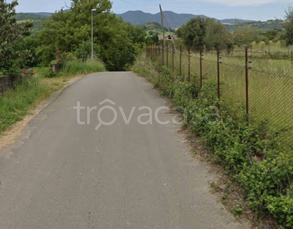 immagine annuncio 8 di 12