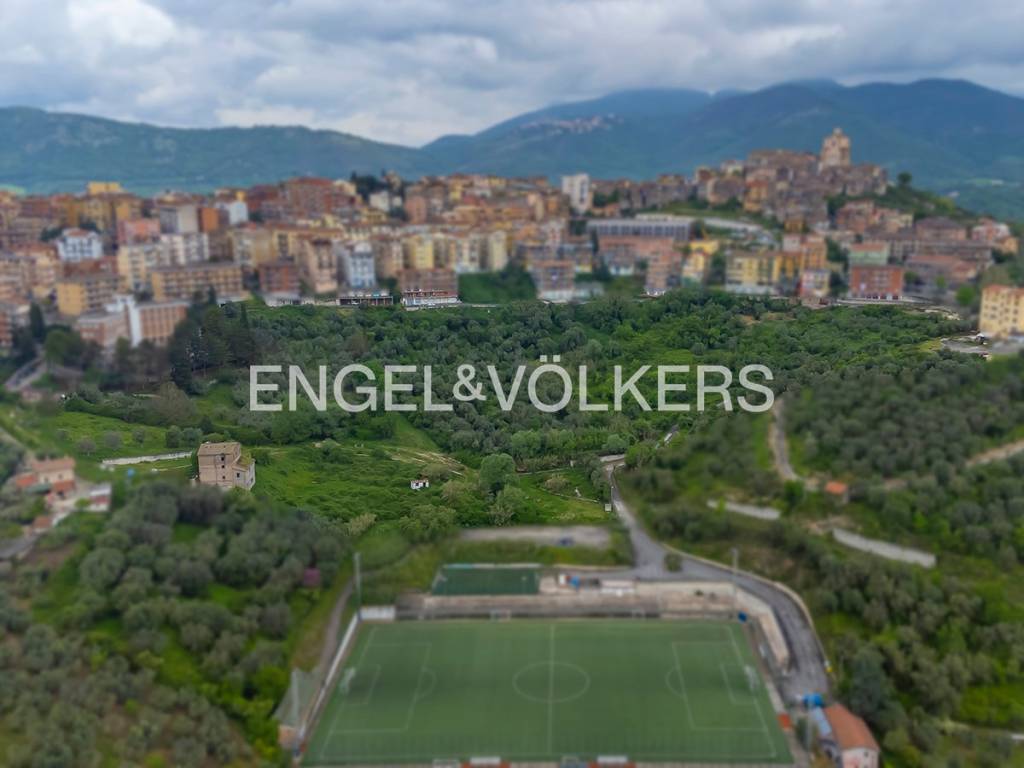 immagine annuncio 9 di 11