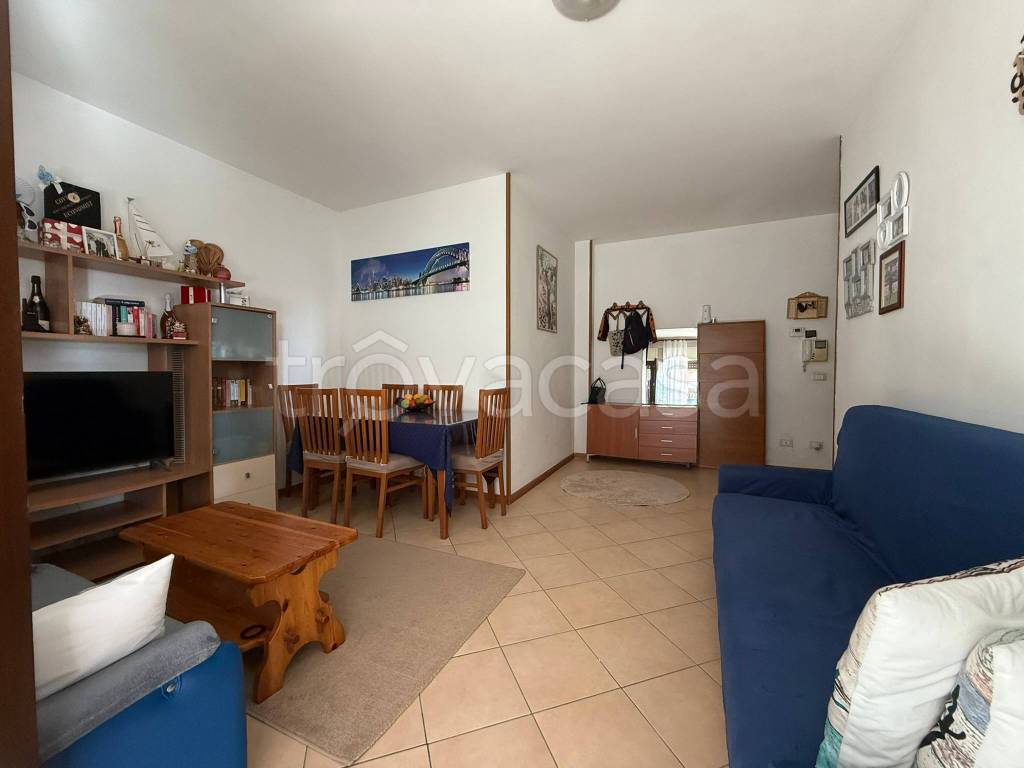 immagine annuncio 3 di 12