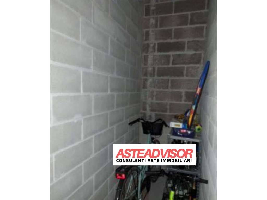 immagine annuncio 12 di 14