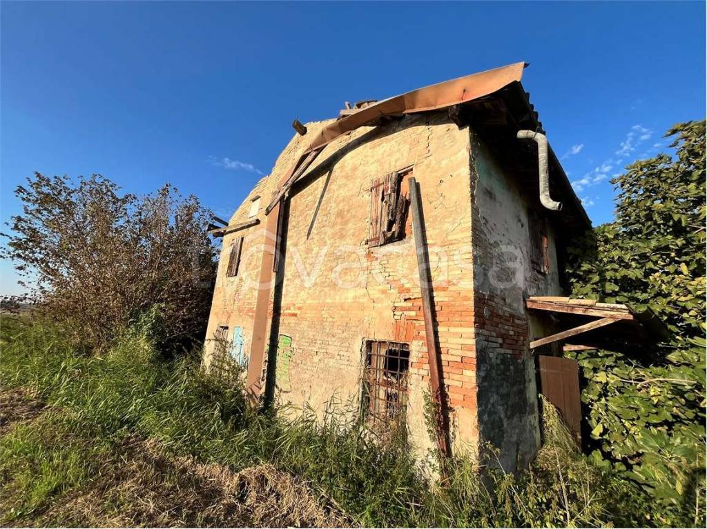 immagine annuncio 5 di 14