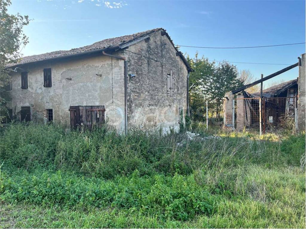 immagine annuncio 7 di 14