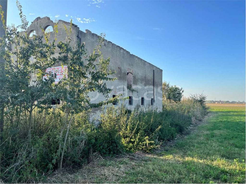 immagine annuncio 8 di 14