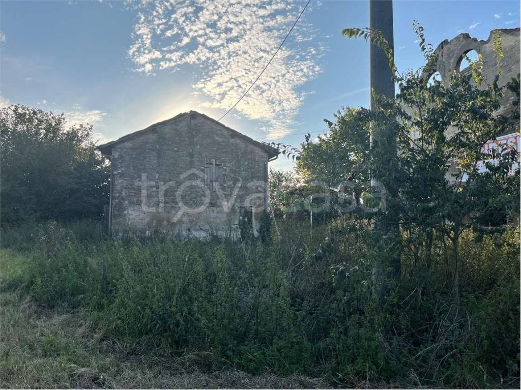 immagine annuncio 9 di 14