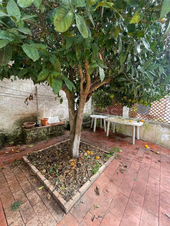 immagine annuncio 7 di 9