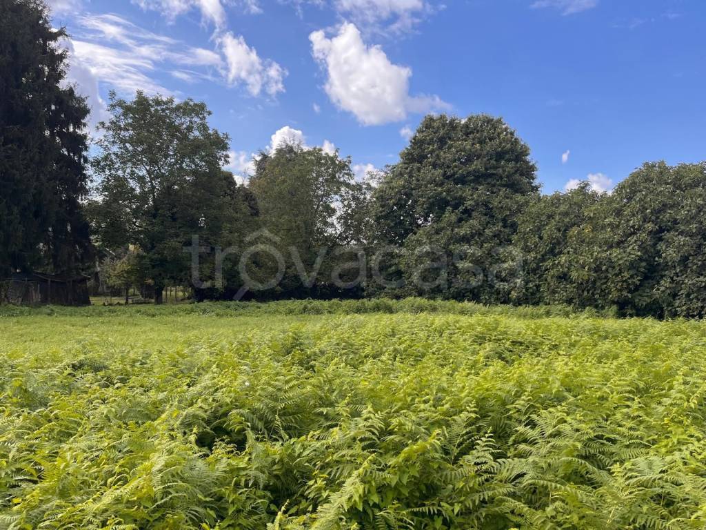 immagine annuncio 4 di 7