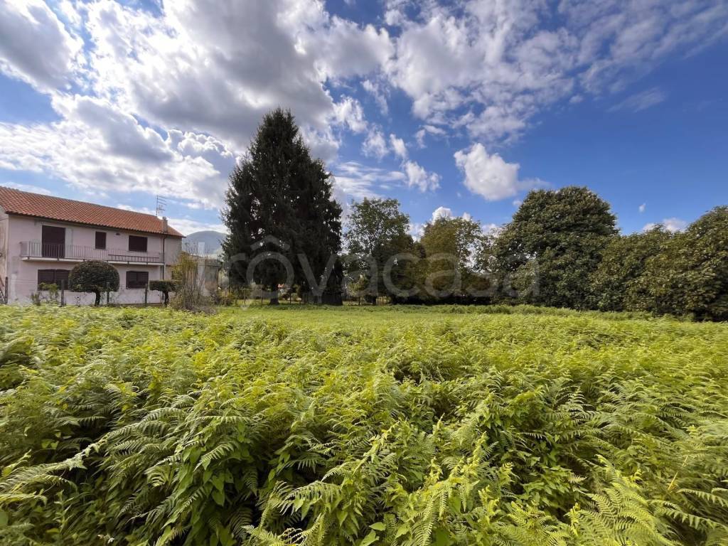 immagine annuncio 6 di 7