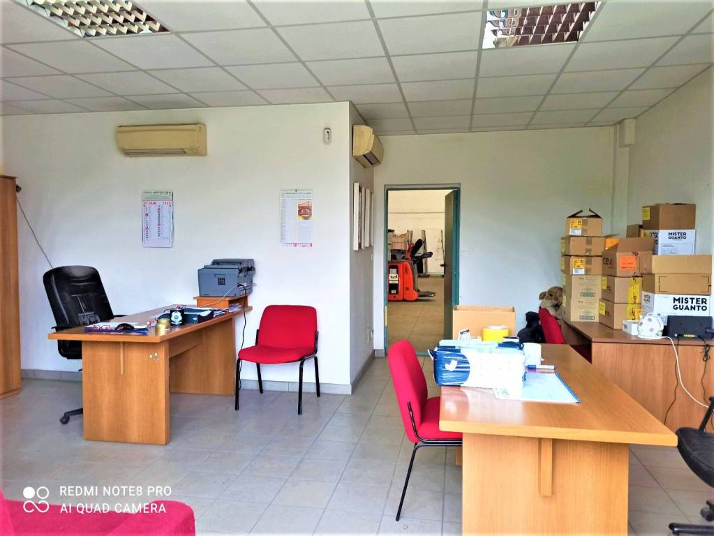 immagine annuncio 5 di 10