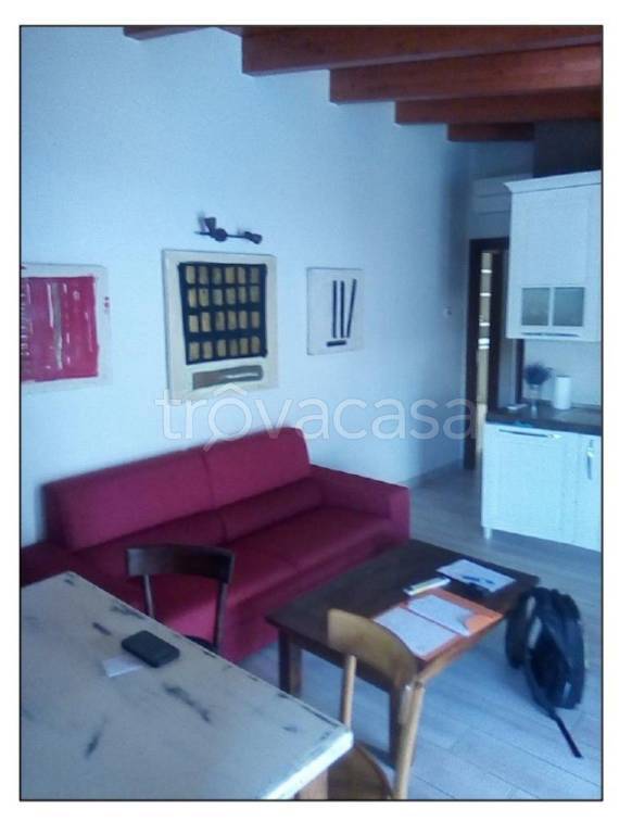 immagine annuncio 5 di 14