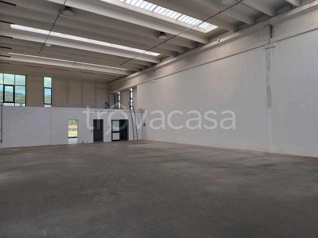 immagine annuncio 1 di 7