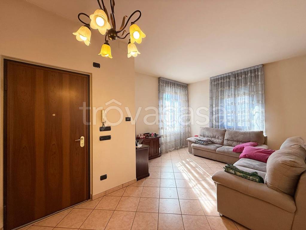 immagine annuncio 2 di 14