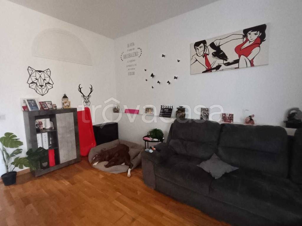 immagine annuncio 10 di 15