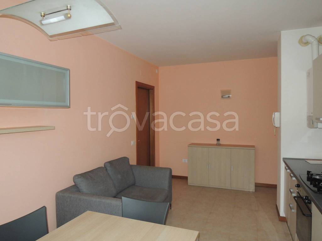 immagine annuncio 2 di 13