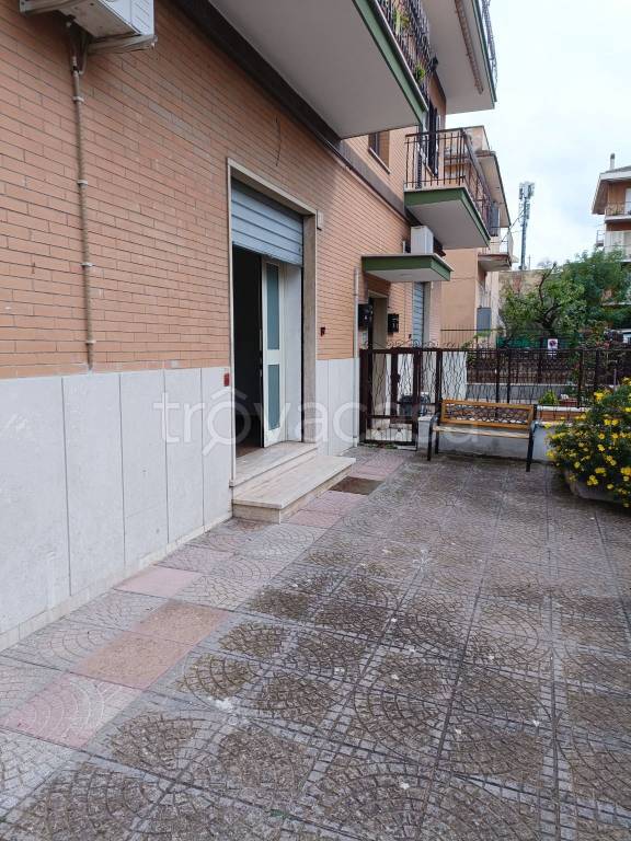 immagine annuncio 2 di 14