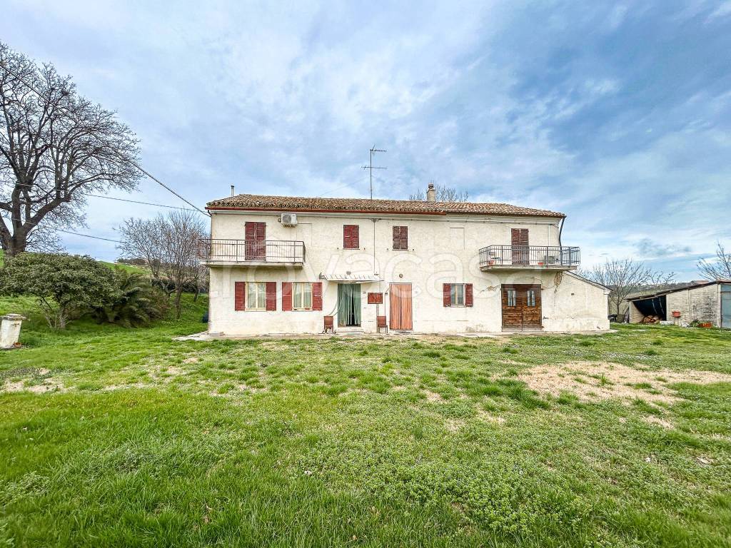 immagine annuncio 11 di 15