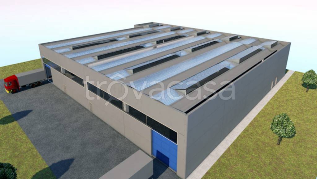 immagine annuncio 3 di 11