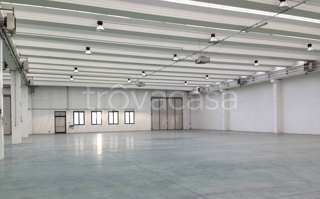 immagine annuncio 8 di 11