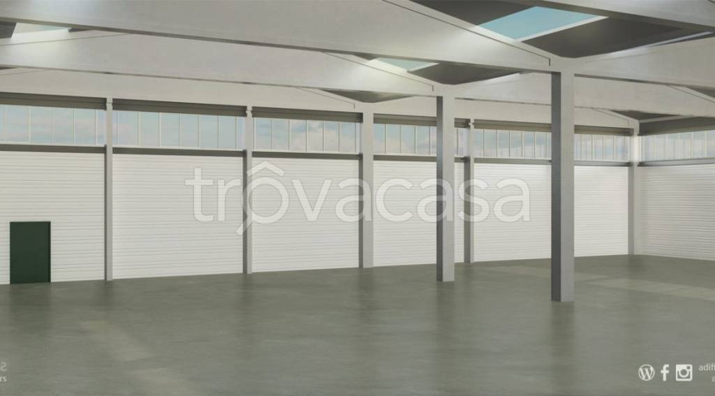 immagine annuncio 9 di 11