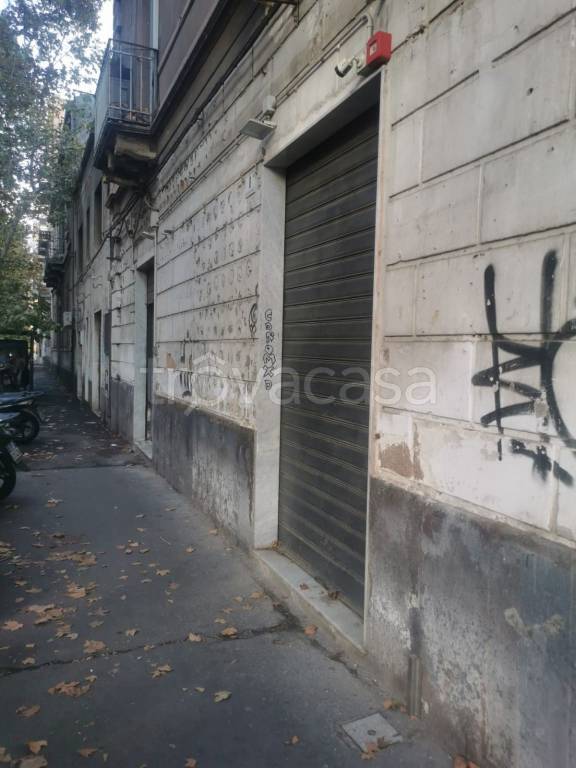 immagine annuncio 1 di 14