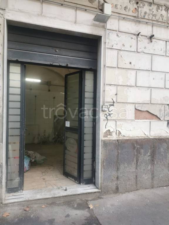 immagine annuncio 5 di 14