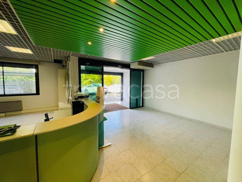 immagine annuncio 9 di 14