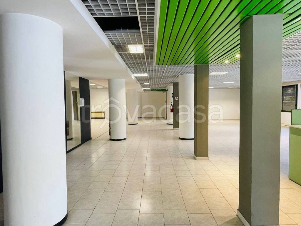 immagine annuncio 11 di 14