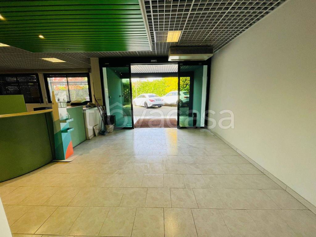 immagine annuncio 12 di 14